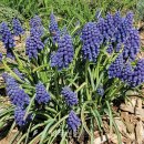 나무와창 이미지