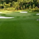 임페리얼CC(대중제) 이미지