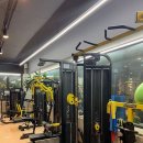 메카헬스 이미지