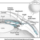 고양신세계안과의원 이미지