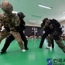 해군2함대사령부(5특전대대) 이미지
