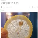 하트다방 이미지