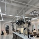 헤어재인 이미지