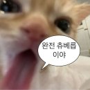 감녹관 이미지