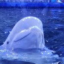 시티스테이 더 여수 이미지