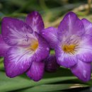 선재농장 이미지