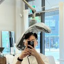 험블디자이어