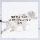태블릿 디지털 드로잉 이미지