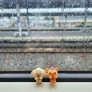 세븐일레븐 울산광명현대점 | 땡프의 5월 위즈니로그