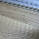 바른대패 Daum카페