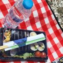 세븐게임장 | 런던 근교 브라이튼 당일치기 투어 김밥무료