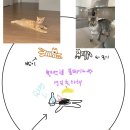 히얼앤나우 이미지