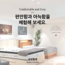 10년 써도 문제없는 침대 관리법, 이렇게 하세요 ! 🔧✨