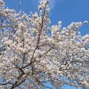병산로 이미지
