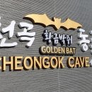 천곡황금박쥐동굴 이미지