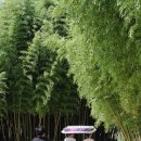 태화강대공원 대여소 이미지