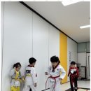 엠티에이태권도 이미지