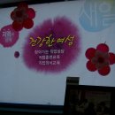 새로
