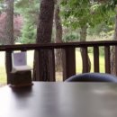 한림용인 이미지