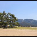 서포리해변1 이미지