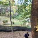 삼싹농장 이미지