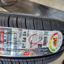 타이어판다 이미지