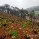 산사태위험 이미지