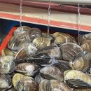 새만금 수산 | [변산_새만금수산] 변산 소노벨 앞 채석강수산시장에서 회포장