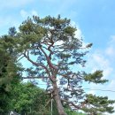 화개사 | [교동도 여행] 고즈넉한 화개사와 우리나라 최초의 향교인 교동향교