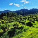 고인목장 이미지