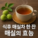매실 이미지