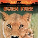 Born Free (1966)야성의 엘자 OST 이미지