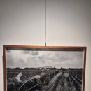 델문도로스터스 이미지