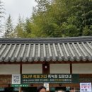 대나무축제 연계프로그램 <관방제림, 이몽룡과 전우치를 만나다> | 담양 죽녹원 여행 | 대나무 축제 기간 다녀온 후기