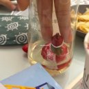 내가 좋아하는 연남동 카페 | 르누아즈 | 크리스마스 주문 케이크 후기 (N번째 방문)