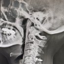 손철호재활의학과의원 이미지