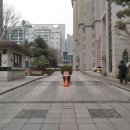 롯데클래식공인중개사사무소 이미지