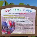 하늬바람민박 | 비금도 선왕산&amp;그림산에서 도초도 자산어보촬영장에서 환상의 정원에서 힐링을!