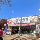 양평 애견동반식당 황해식당 용문산 맛집 산채나물정식 내돈내산 솔직후기
