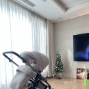 절충형 유모차 잉글레시나 일렉타 내돈내산 구매 후기