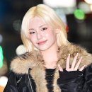 냥냥이네 이미지