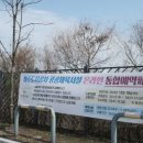 옥정체육공원 축구장 이미지