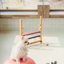 동탄호수유치원 이미지