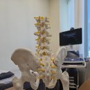 천하장사한의원 이미지