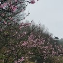 광주현대농장 이미지