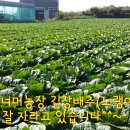 등너머농장 이미지