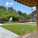 비발디 향기나무 이미지