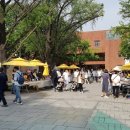 마로니에공원 이미지