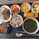 인화약국 | [출산일상] 드라마여성병원 제왕절개 리얼 출산 후기 및 5박 6일 병실 입원 후기