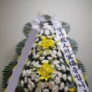 충대꽃화원 이미지